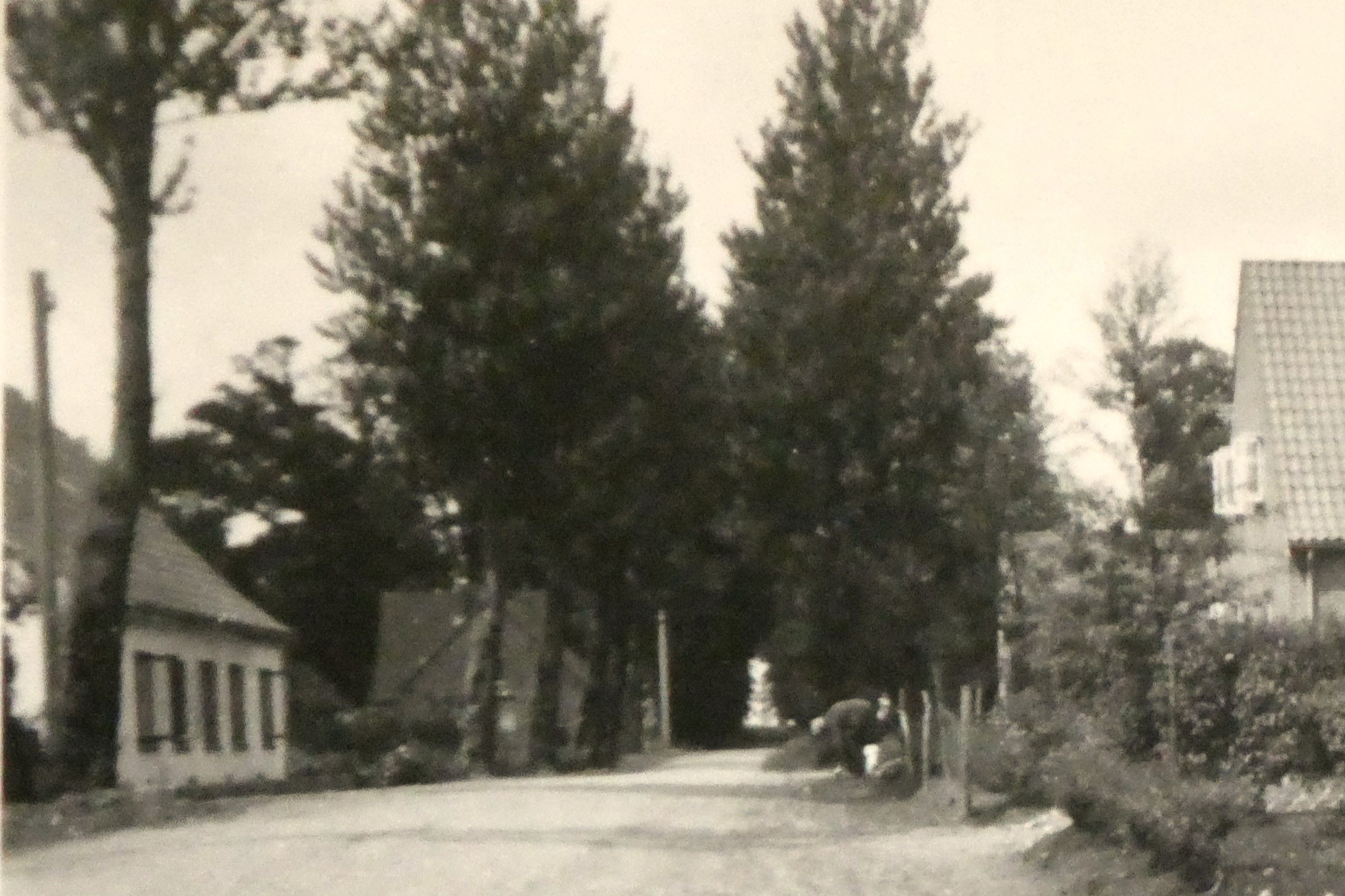 Holander Allee 1966 Holander Allee 1966